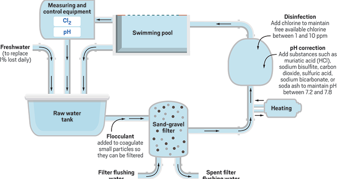 Chemical reactions in swimming pool